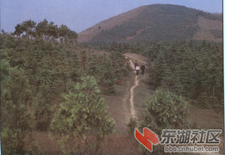 天门山.png
