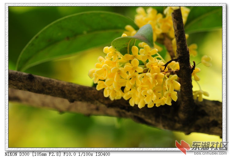 nEO_IMG_DSC_3825.jpg