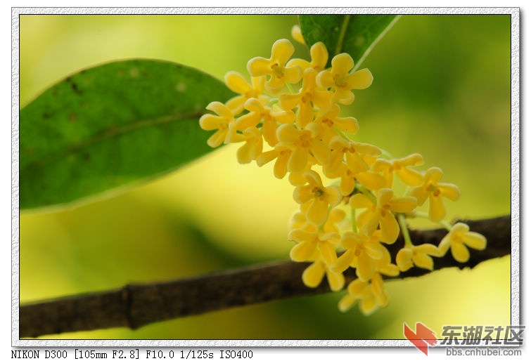 nEO_IMG_DSC_3831.jpg