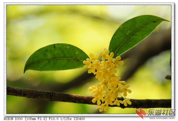 nEO_IMG_DSC_3842.jpg