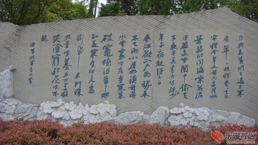 DSC00166.jpg