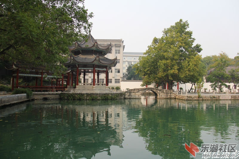 IMG_36126757.jpg