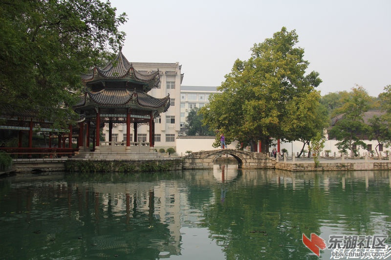 IMG_3614E.jpg