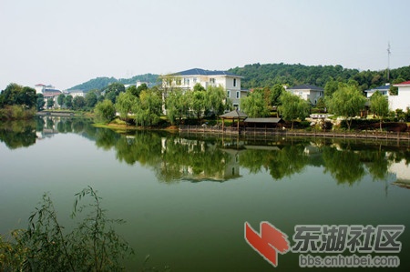 nEO_IMG_DSC09235_副本.jpg