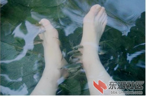 72小鱼泉.jpg