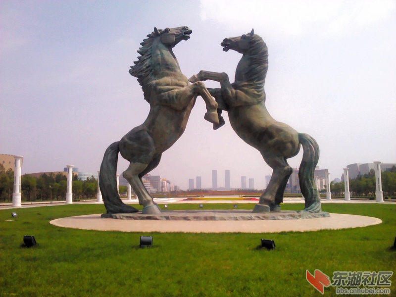 IMG_20120716_144613.jpg
