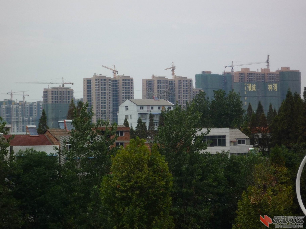P1020700.JPG