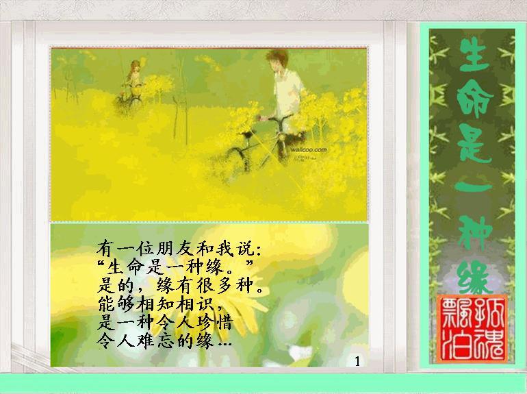 生命是一种缘1.jpg