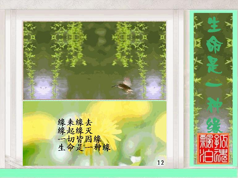生命是一种缘12.jpg