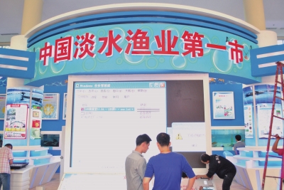 p48_b.jpg