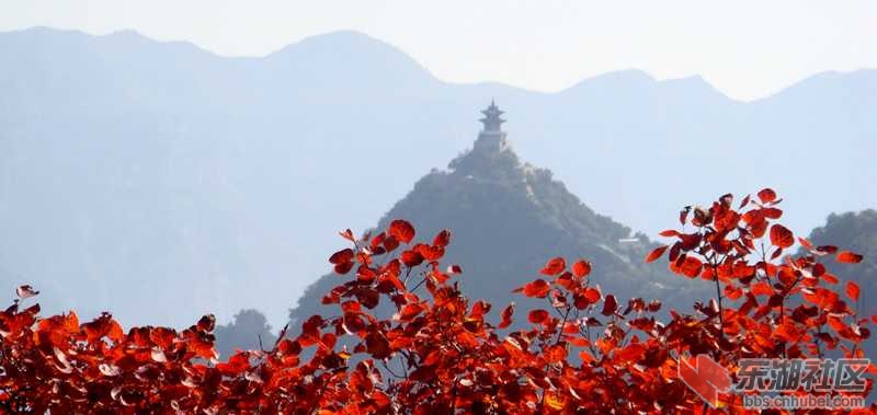 image04云丘山红叶.jpg