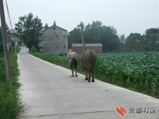通村公路.jpg