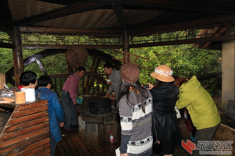 IMG_6847.jpg