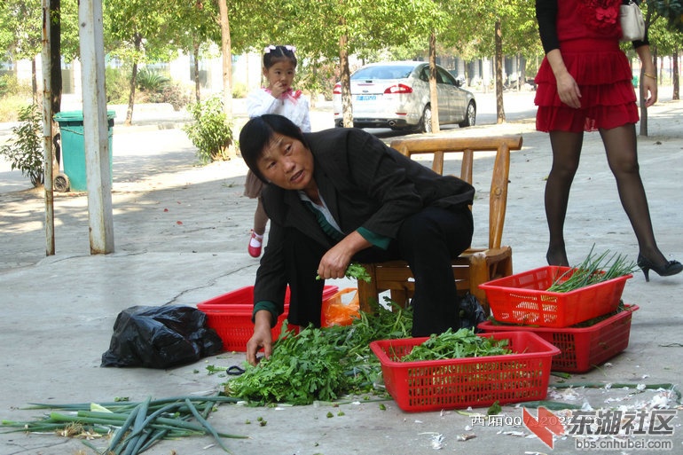 IMG_1212_副本.JPG