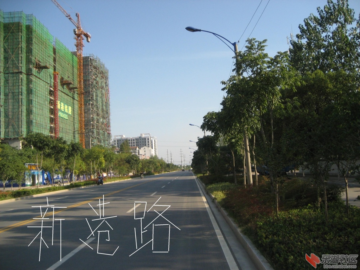 青砖湖路 006.jpg