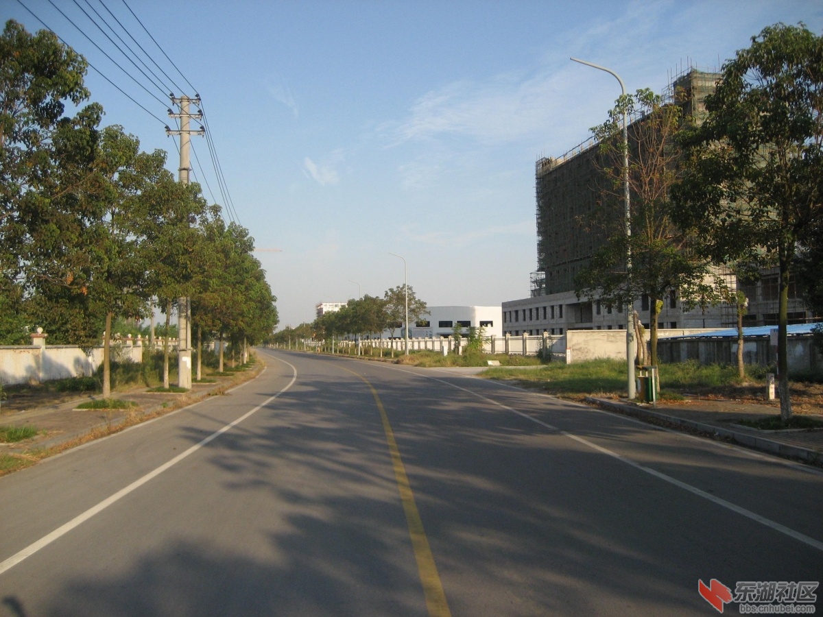 青砖湖路 012.jpg