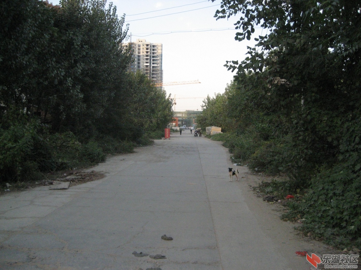 青砖湖路 017.jpg