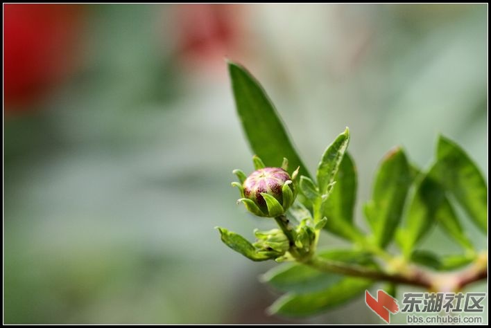 nEO_IMG_照片 1027.jpg