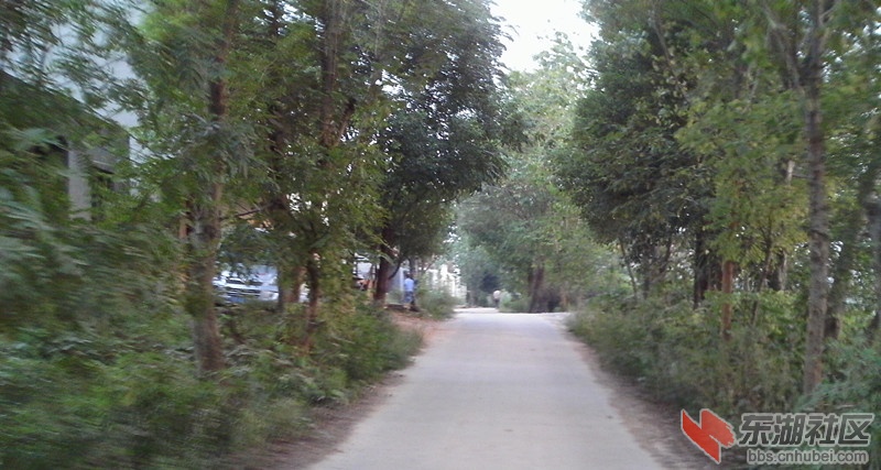 IMAG0098_副本.jpg