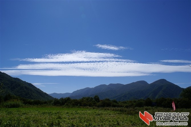 084447d3tdx3ul2c52dwsd.jpg