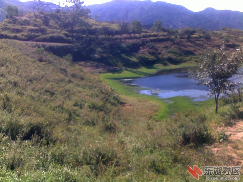 20120928062_副本.jpg