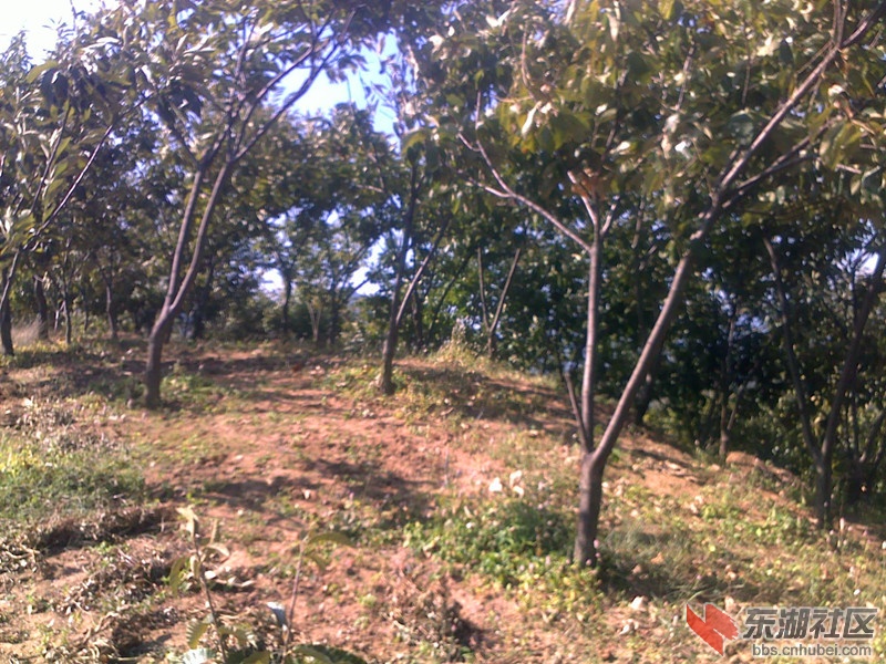 20120928063_副本.jpg