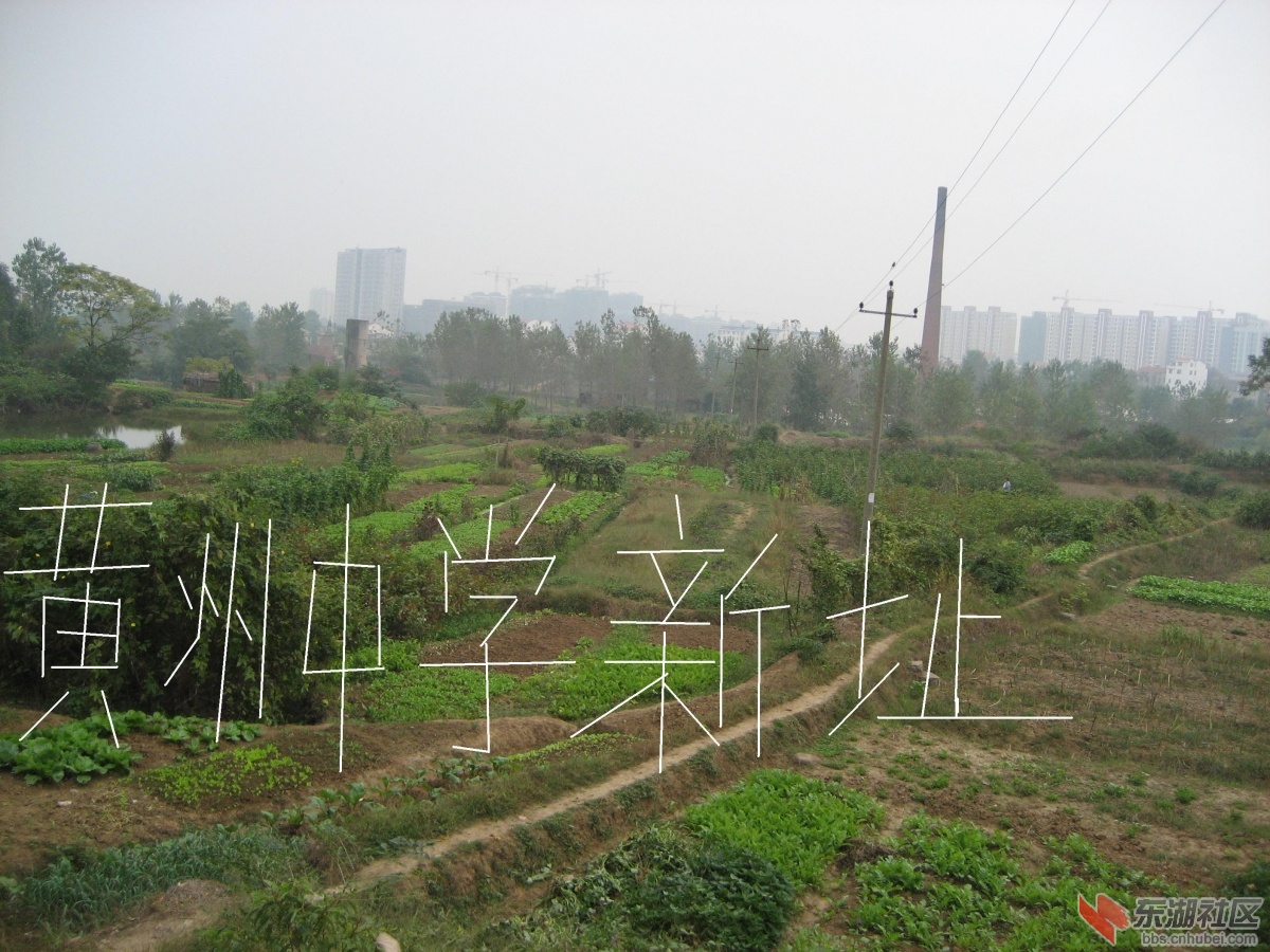 道路 003.jpg