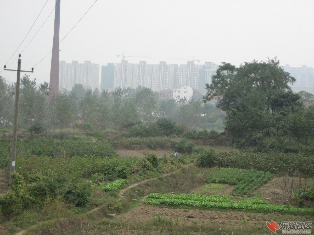 道路 004.jpg