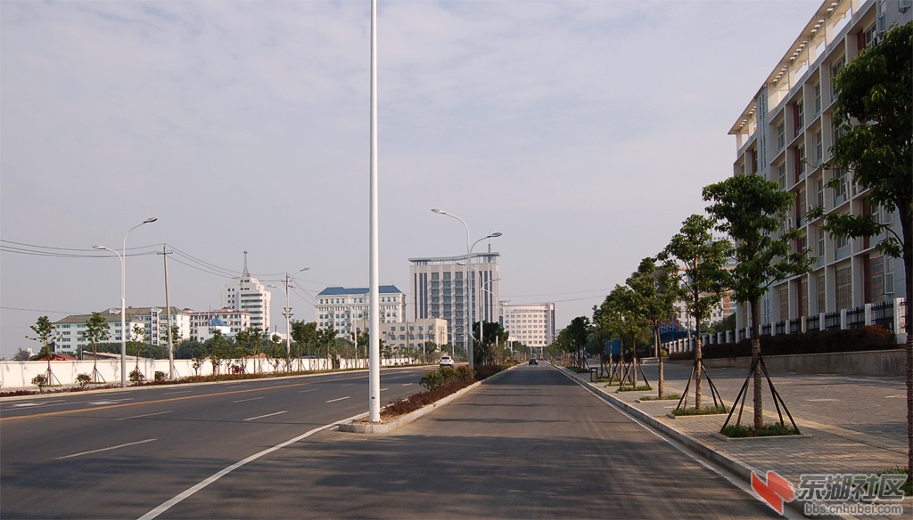 DSC_2024.jpg