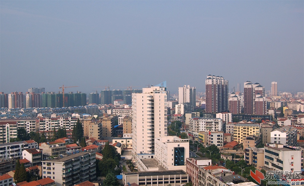 DSC_2061.jpg