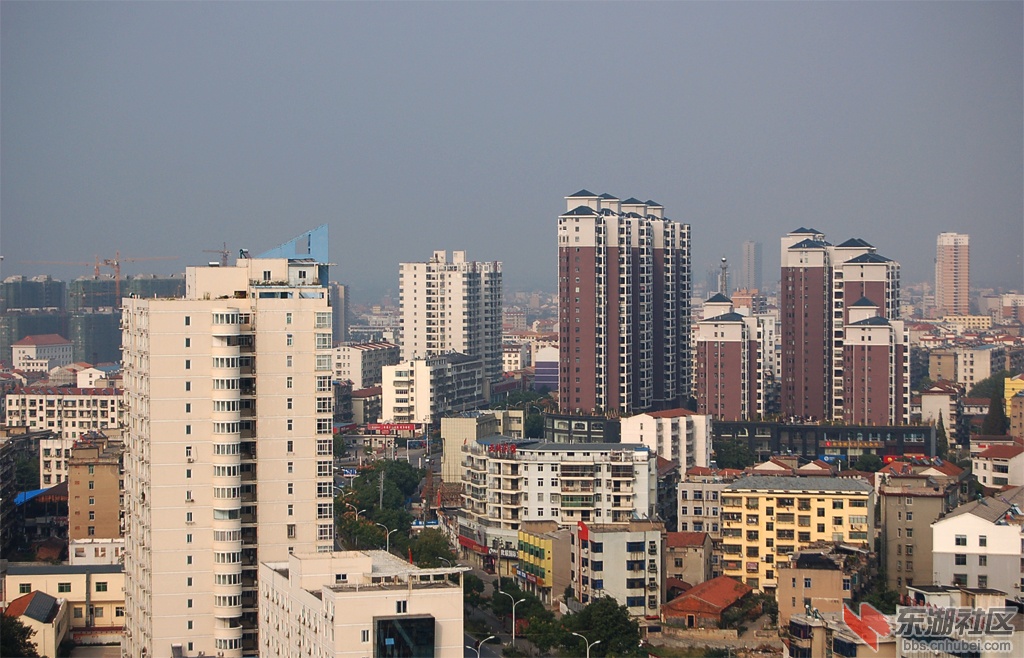 DSC_2062.jpg