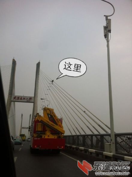 175153dycjm3g8wnjxndyw.jpg
