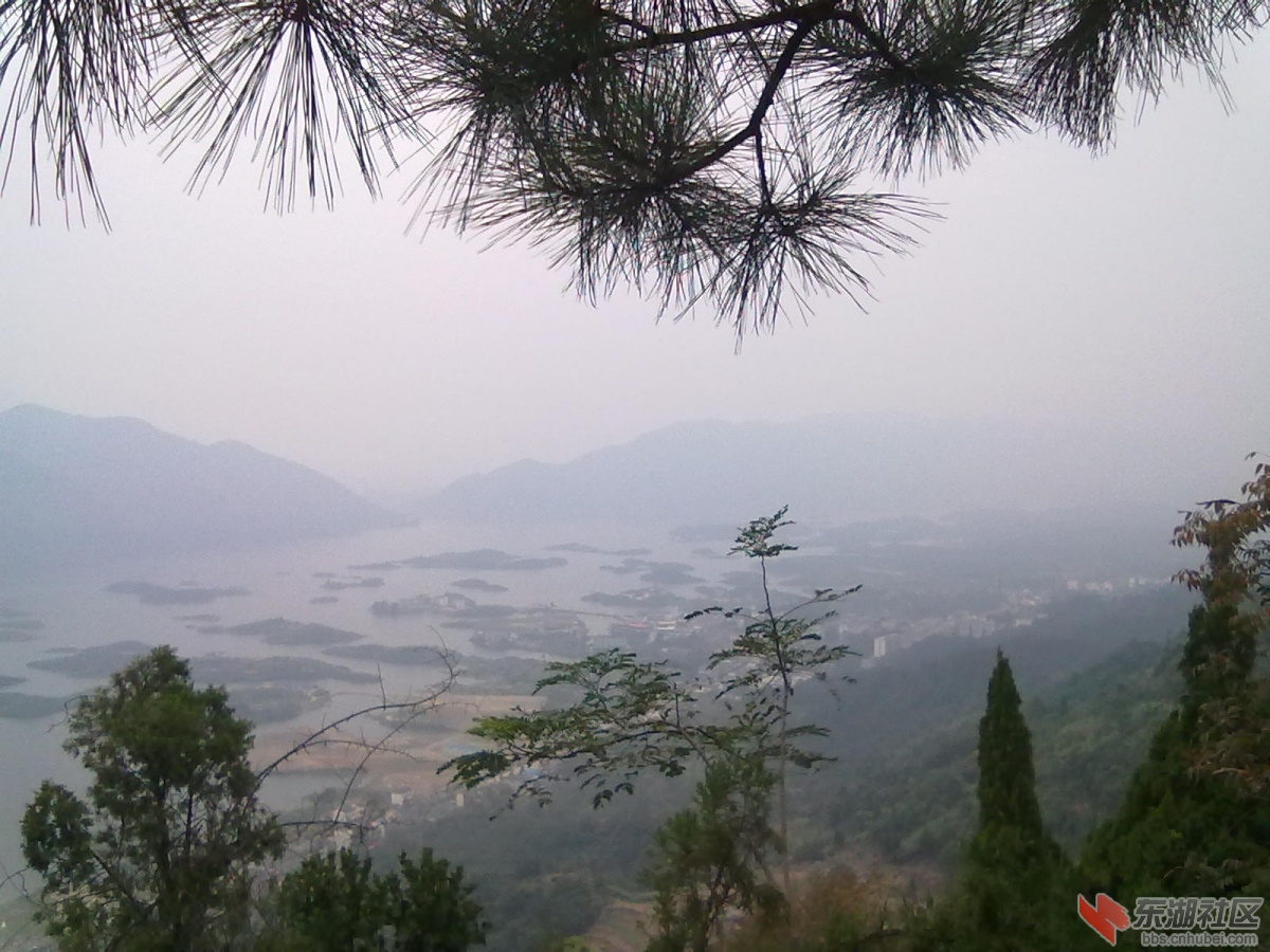 照片 038.jpg