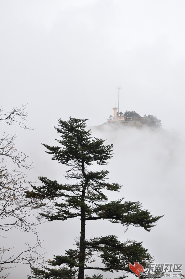 DSC_2529.JPG