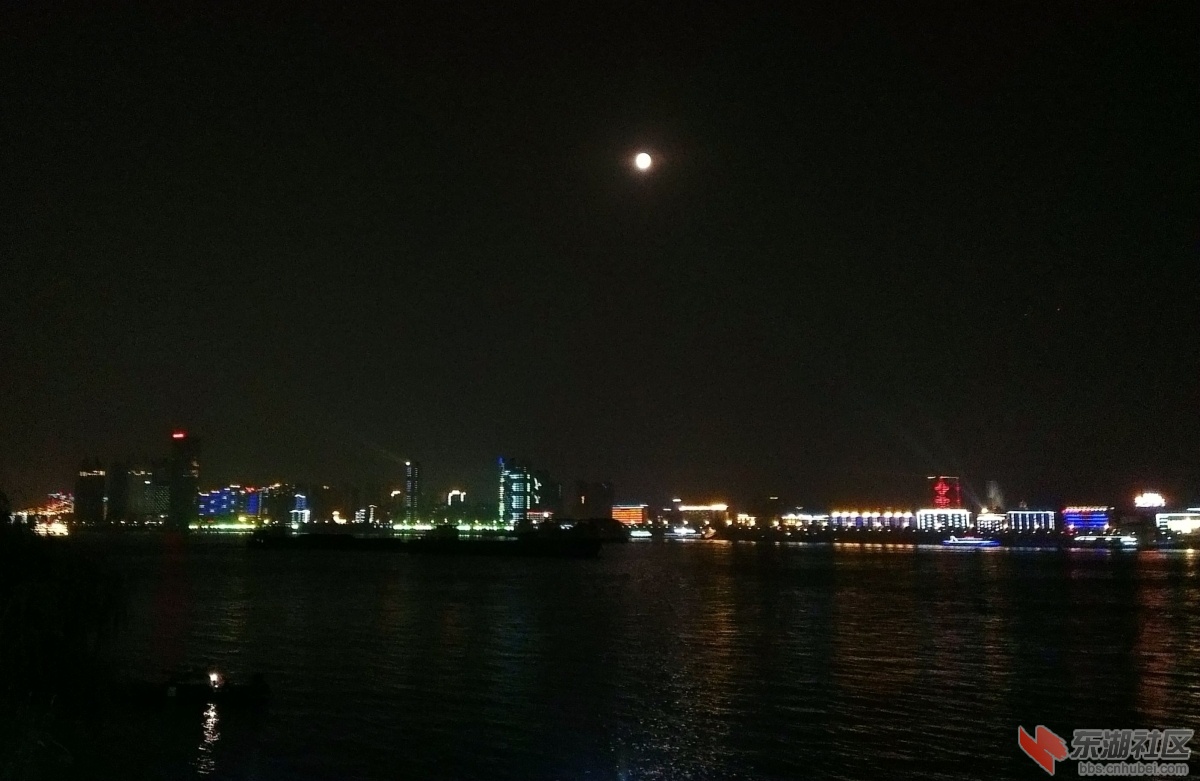 IMAG0251-1.jpg