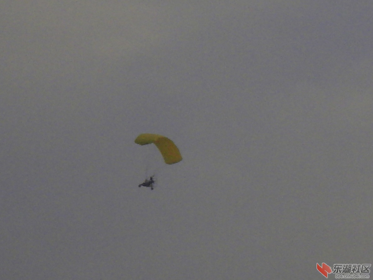 SDC15009.jpg