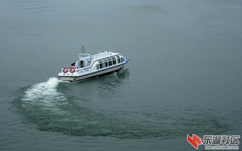131607rmsl0uurmrxii8m8[1].jpg