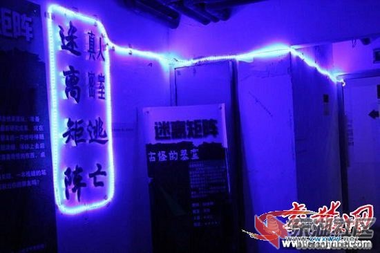02.jpg