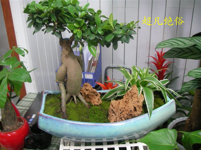 psb[1]_副本.jpg