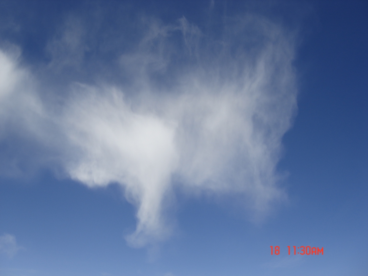 DSC04527.JPG