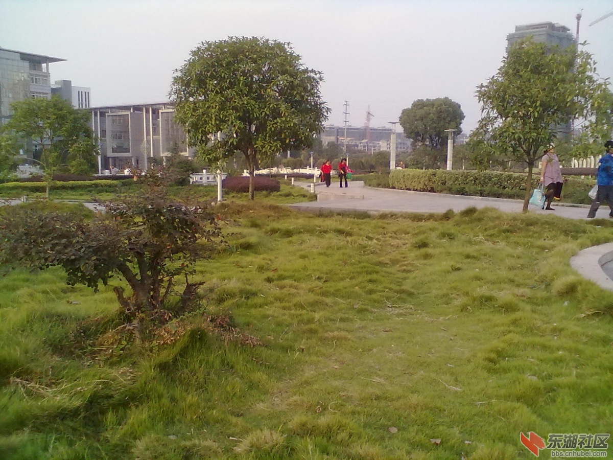 20121003037.jpg