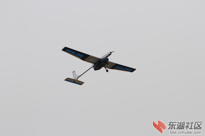 IMG_2295.jpg