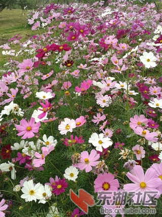 2012-10-14 09.18.24.jpg