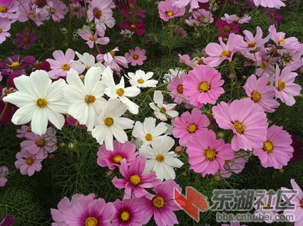 2012-10-14 09.21.18.jpg