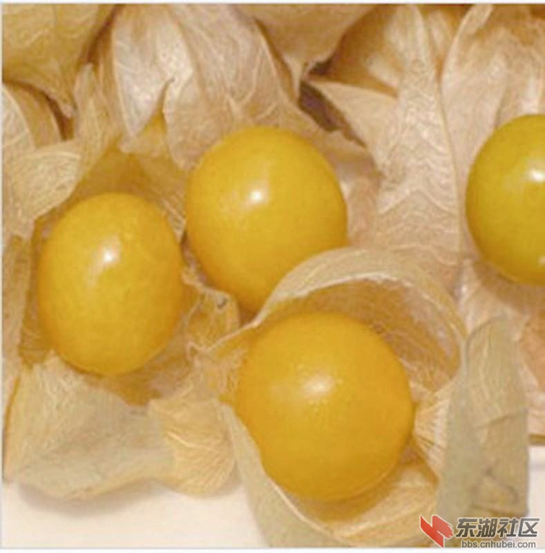 20121018054823403.jpg