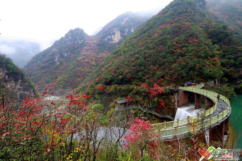20111110_1320917824.jpg