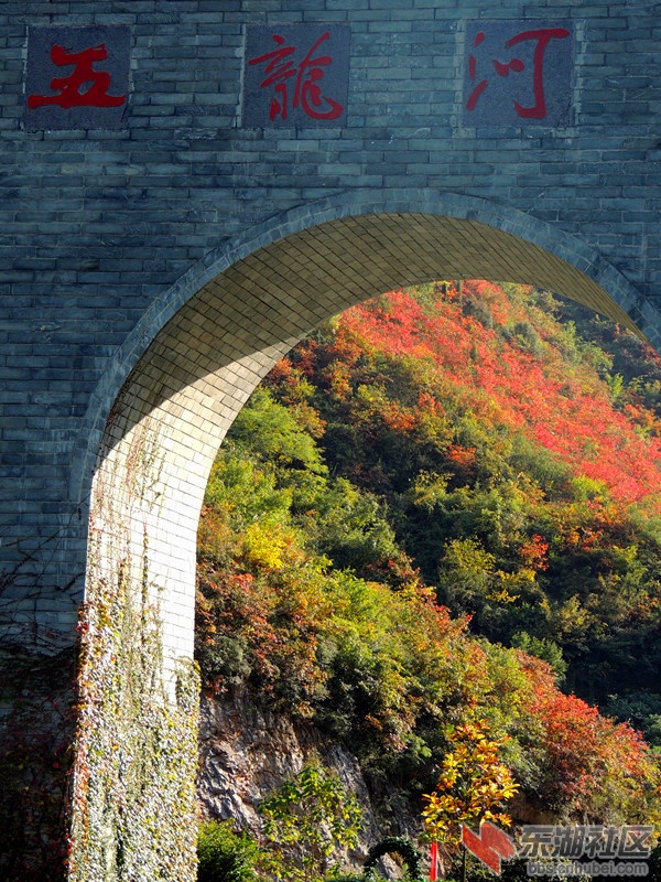 红叶1.jpg