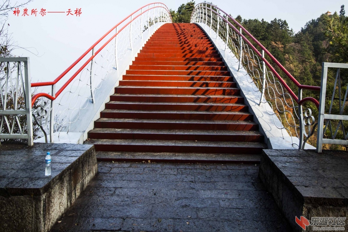 天梯1.jpg