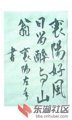 乱画，包涵