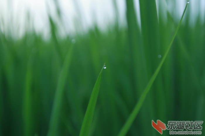 _MG_6455.JPG